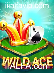Descubra o Mundo de Aventura com WildAce